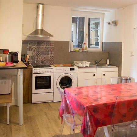 Appartement Le Bain Aux Plantes ストラスブール エクステリア 写真